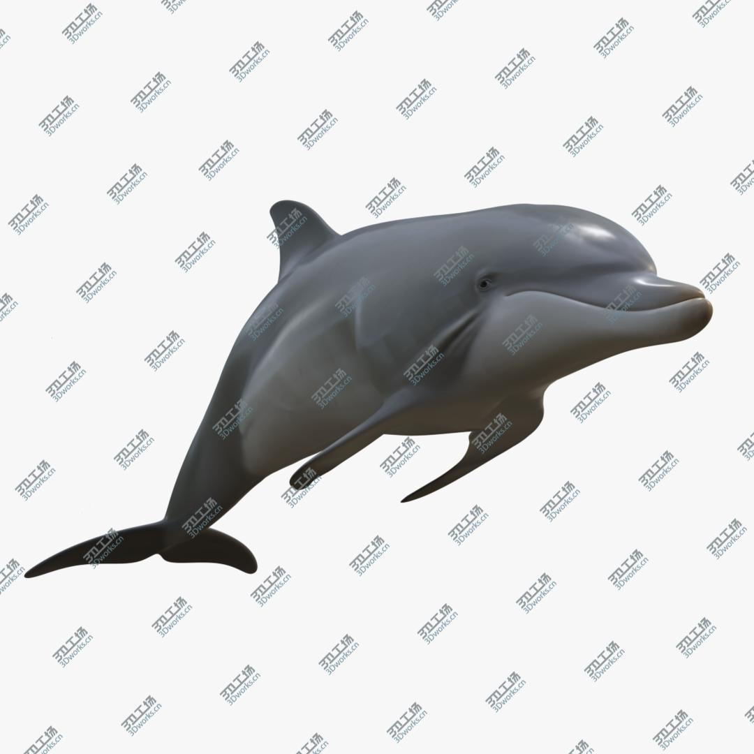 images/goods_img/202104021/3D Beautiful Common Bottlenose Dolphin model/1.jpg